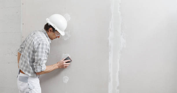 Best Mold Odor Removal Services  in Waverly, MI
